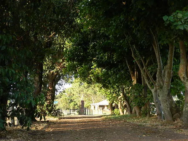 HORSE PROPERTY NEAR THE OCEAN - MONEY SPINNER!