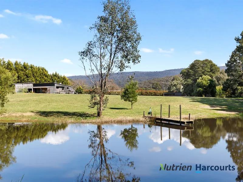 Historic Woolshed Building Opportunity