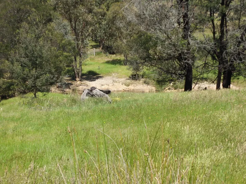 517 ACRES (approx) - AN AREA OF NATURAL BEAUTY: ZONED RURAL CONSERVATION (RCZ)