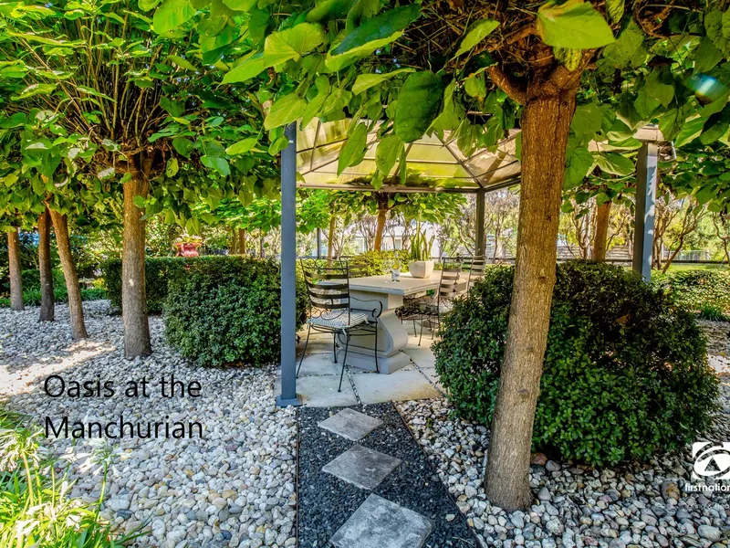 OASIS AT THE MANCHURIAN