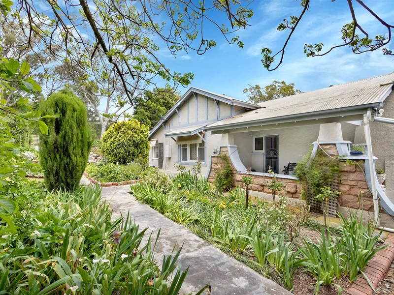 Country lifestyle on the edge of town