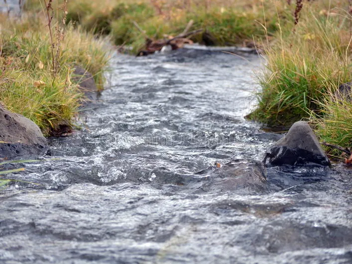 Water Licence and Allocation FOR SALE