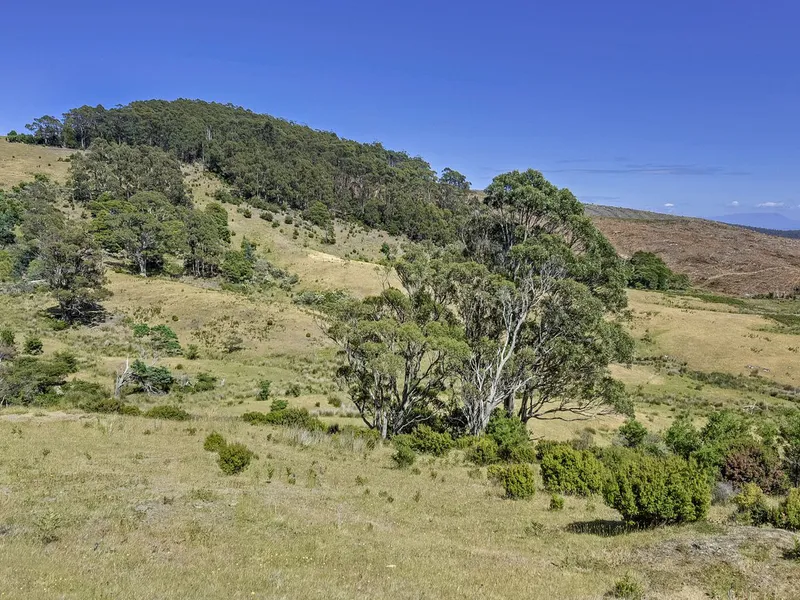 MOSTLY PASTURE - PRIME POSITION