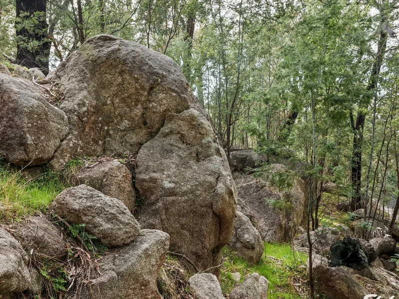 27 Acres - Nature Lover's Paradise