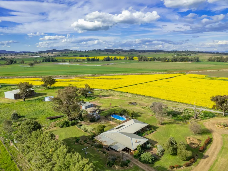 PRIME, SELF WATERING LUCERNE & IRRIGATION!