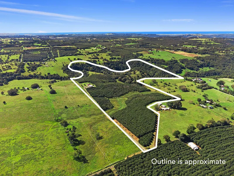 Northern Rivers farming at its best