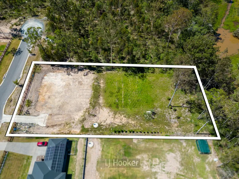 SCARCE AS HEN’S TEETH