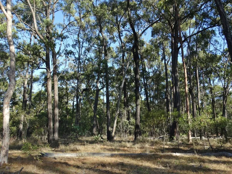 845 ACRES - BIGGER IS BETTER