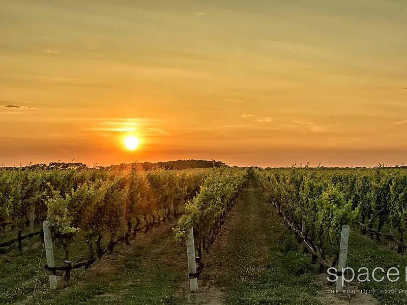 Lifestyle Opportunities