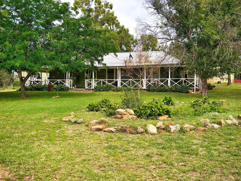 Livestock or 100% Pure Fun