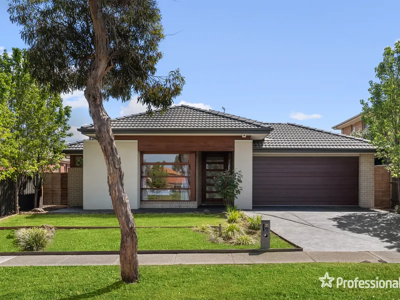 Modern 4 + Study Family Haven in a Leafy Park-side Location!