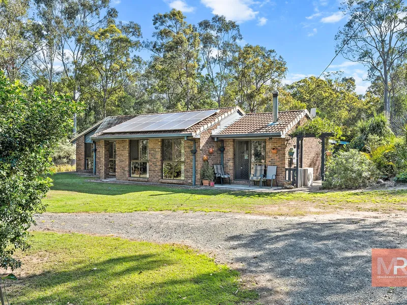 NEW HOME FOR CHRISTMAS