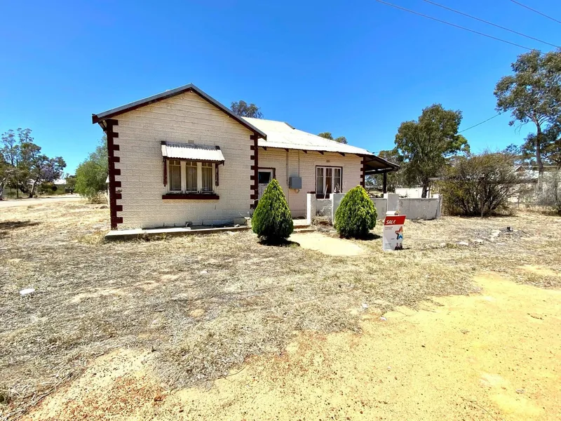 Renovators Delight