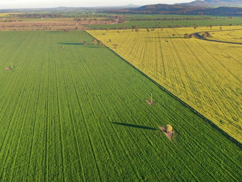 Outstanding 'Rosedale' - Versatile cropping and grazing enterprise