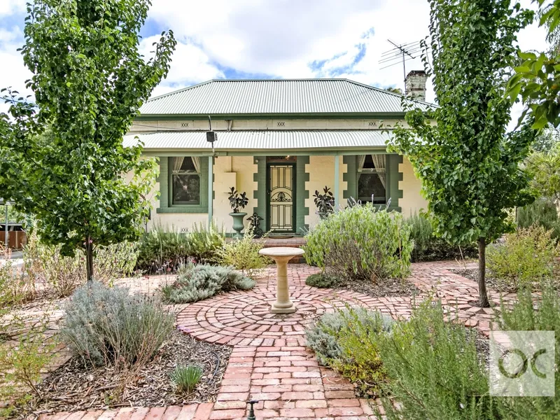 THE ULTIMATE TREE CHANGE