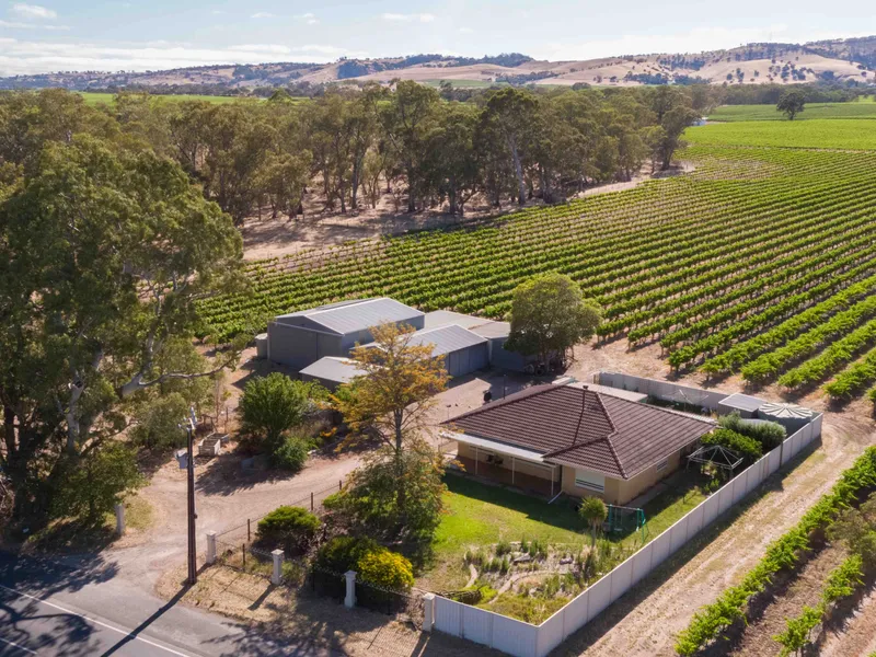 Best Offer -  2216 Barossa Valley Way, Rowland Flat 15.70 Ha