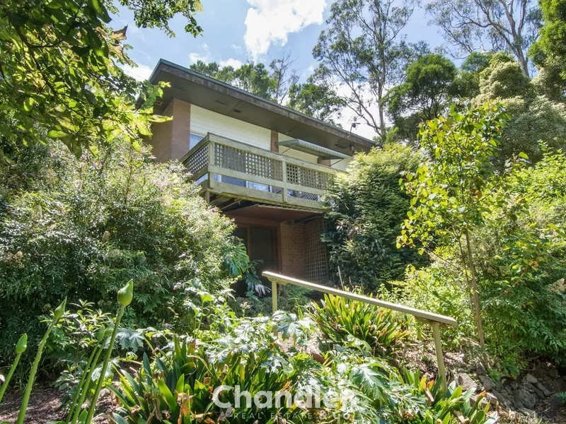 FAMILY FAVOURITE – NESTLED IN NATURE