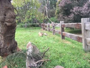 Rare Opportunity On 10 Acres