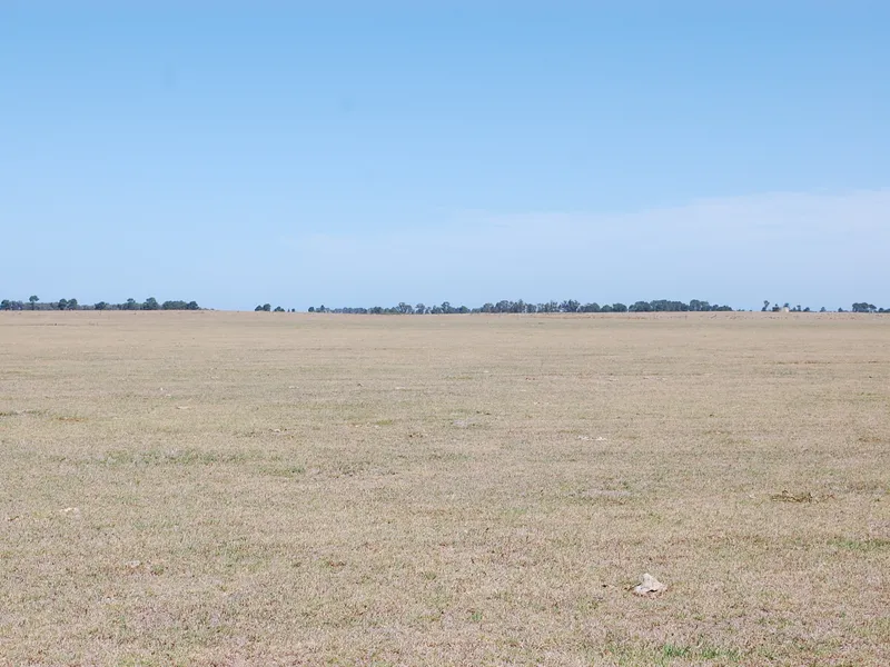 'Davies Farm'  Esperance