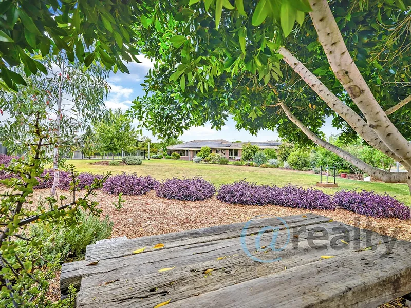 The Ultimate Family Retreat