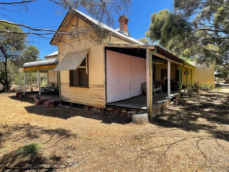 A Shack Amongst the Gum Trees