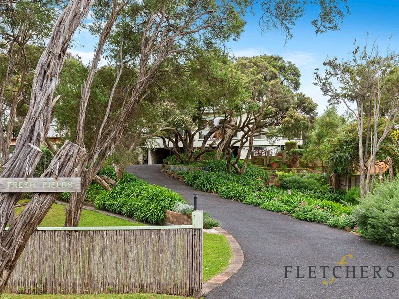 Elevated 1950’s within walking distance to bay & Ocean beaches