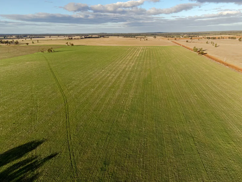 Productive Red Loam Soils Suited To Broadacre Farming