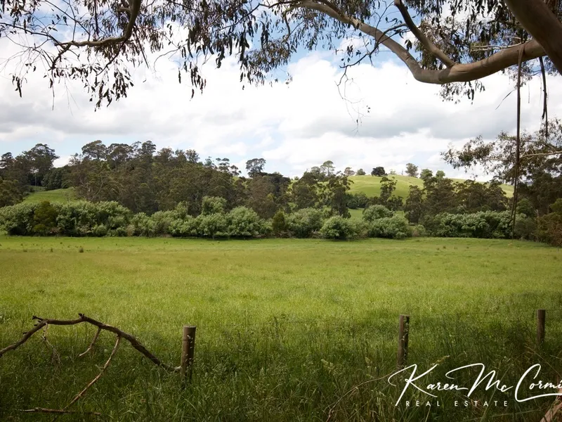 Green Lush Pastures -10acres