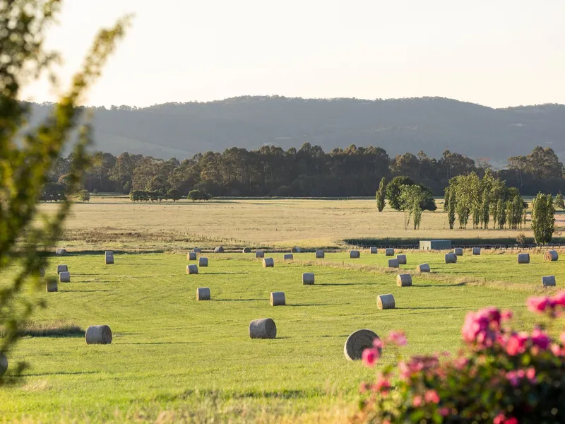 Prime Investment Property.