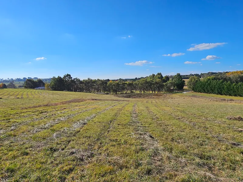 Exceptional Land Opportunity