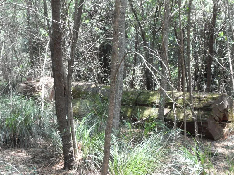 'UNIQUE MOUNTAIN BLOCK'