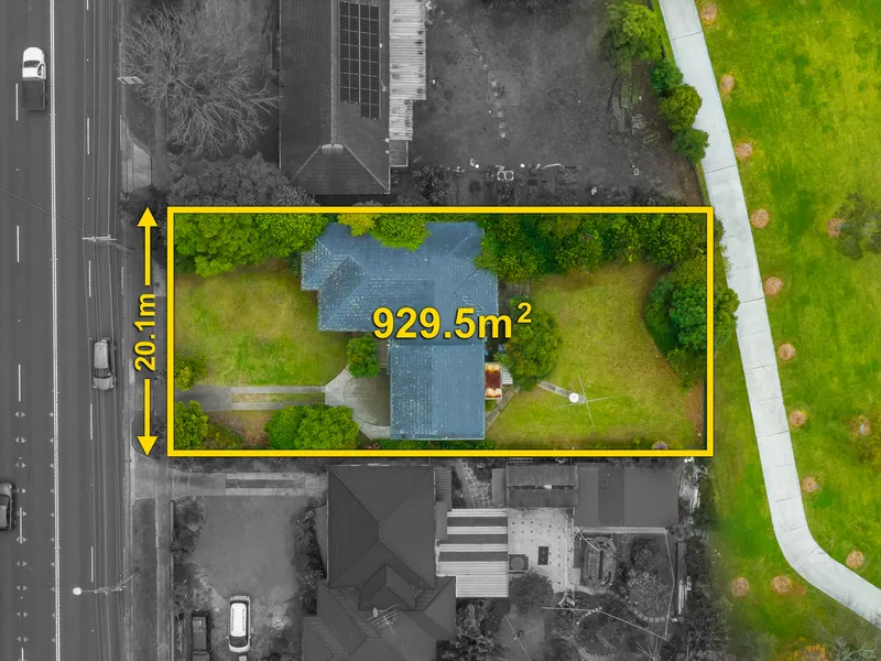 Hidden Gem of Carlingford