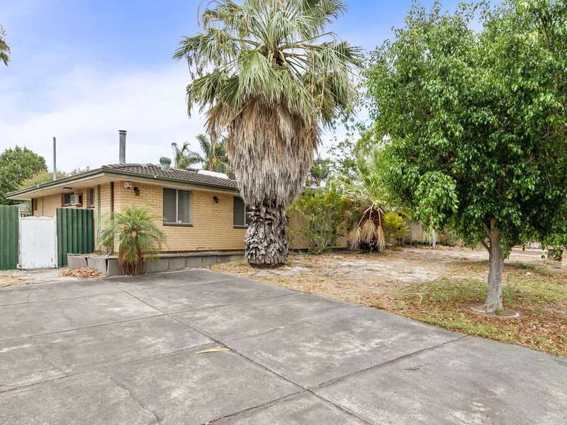 What You See Is What You Get!