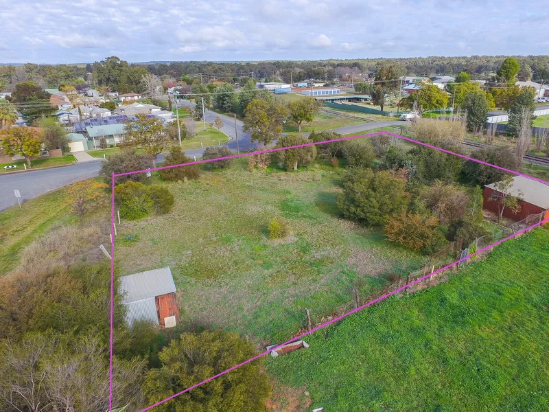 Premium large allotment