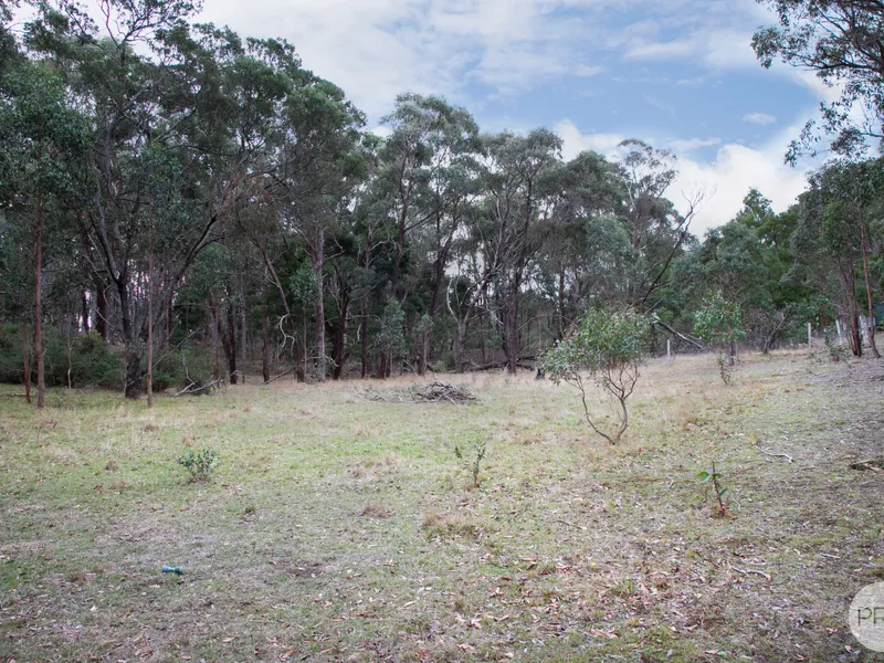 Approximately 14 Acres Of Land Ready For You To Build Your Dream Home