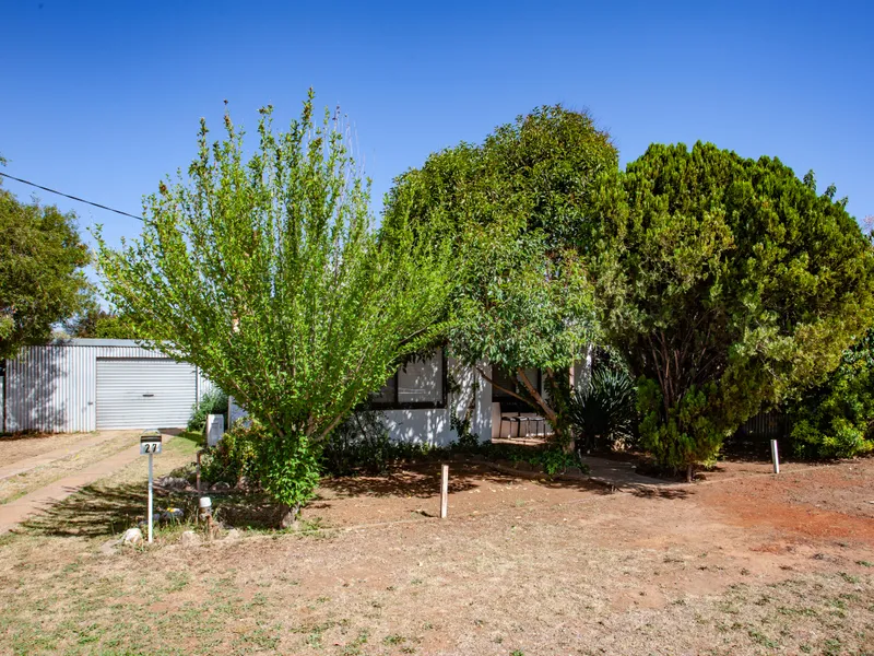 ONE FOR THE INVESTOR