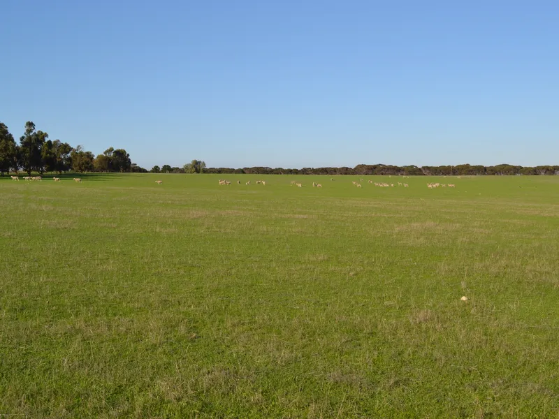 SEMI RURAL LIFESTYLE ALLOTMENTS
