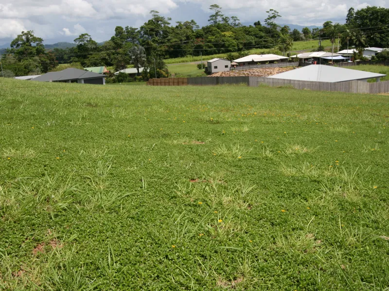 ELEVATED BLOCK OF LAND WITH VIEWS AT BELVEDERE - 699M2 NOW ONLY $70.000.