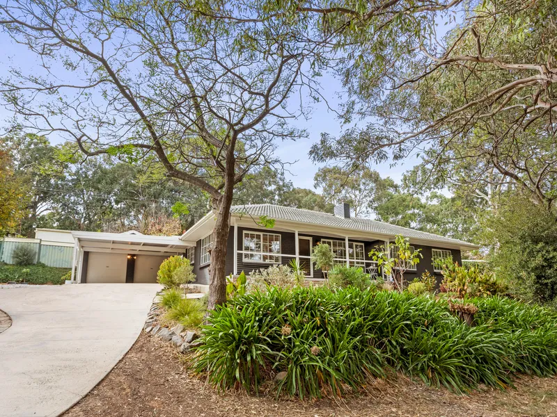 Embrace everything that makes Coromandel Valley so coveted in a mid-century charmer updated for a new era