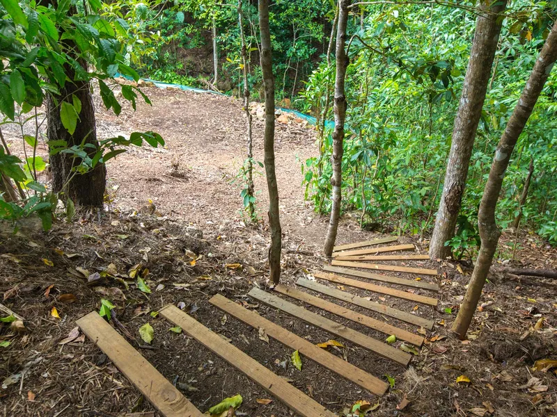 Build Your Dream Home - Freehold Land!