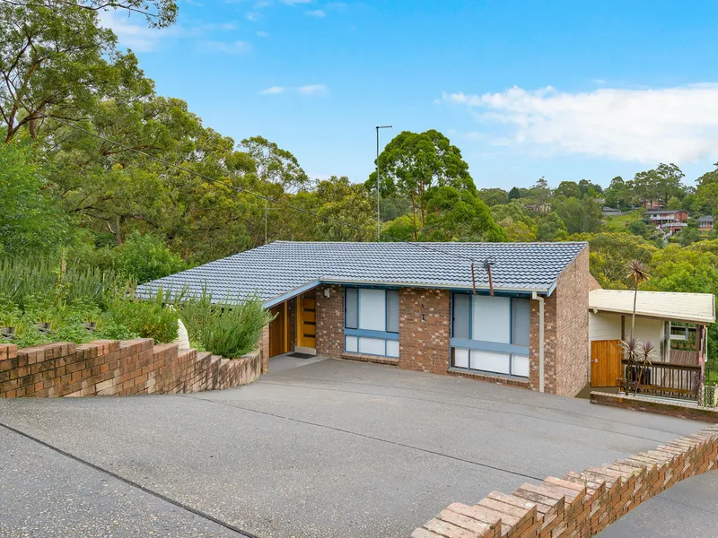 Light Filled with a Leafy Outlook