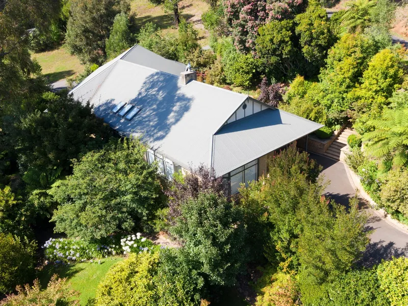 A beautiful 4-bedroom home and adjoining property situated above Marysville, surrounded by mature gardens and stunning views.