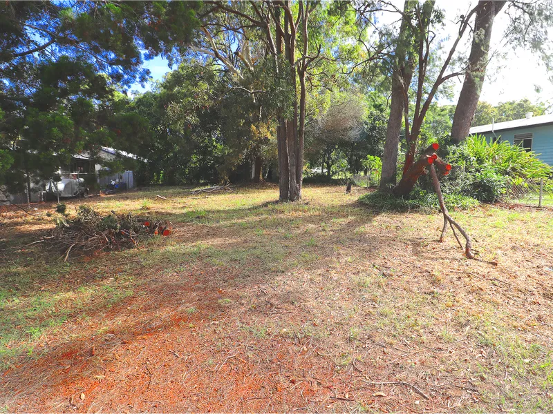 The Dream Starts Now