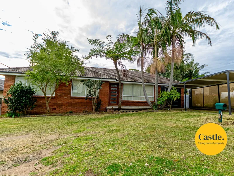 New Kitchen & Renovation
