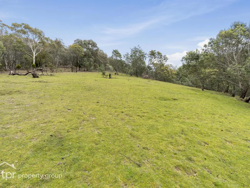 What A Rare Chance To Acquire