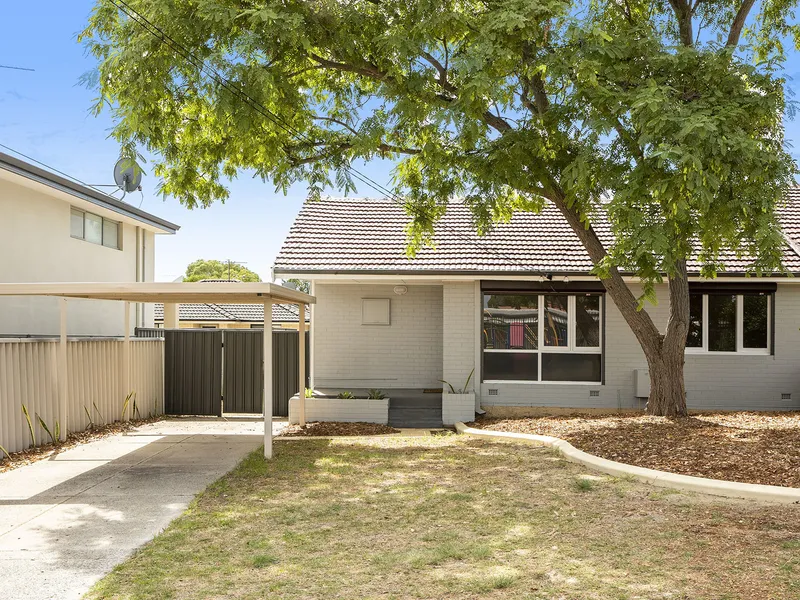 What a little ripper!