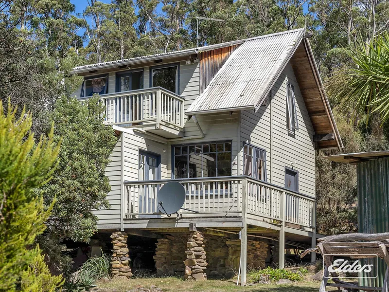 Private cabin located on 15 acres of bush