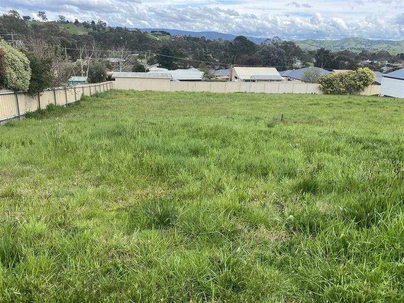 Build your dream home