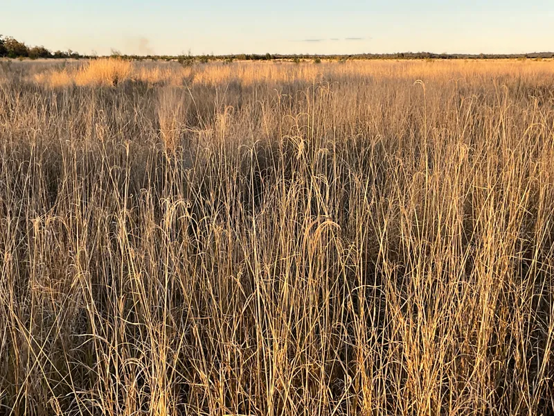 966.69 ha Affordable Freehold Grazing Country