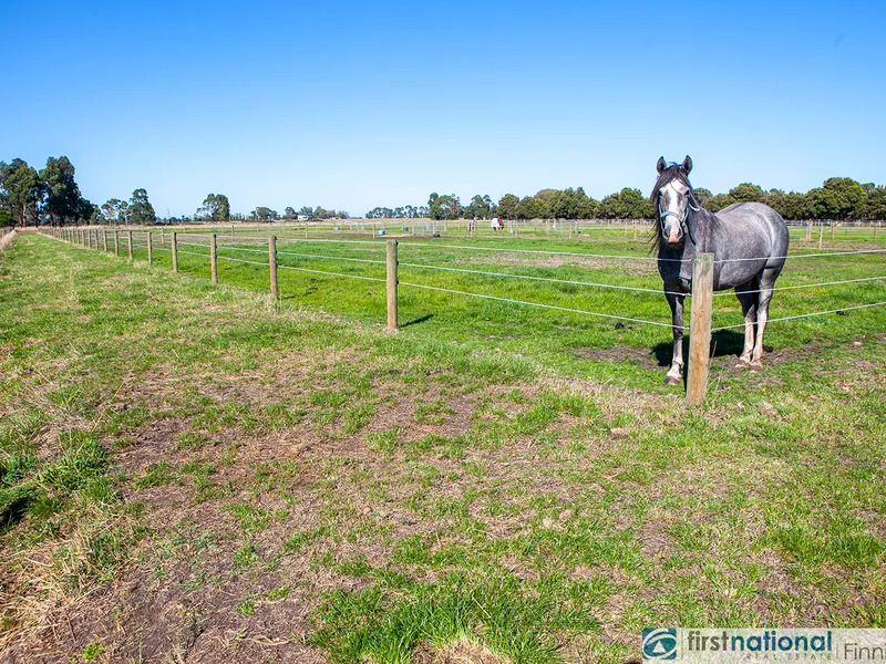 FOR THE TRUE EQUINE ENTHUSIAST…